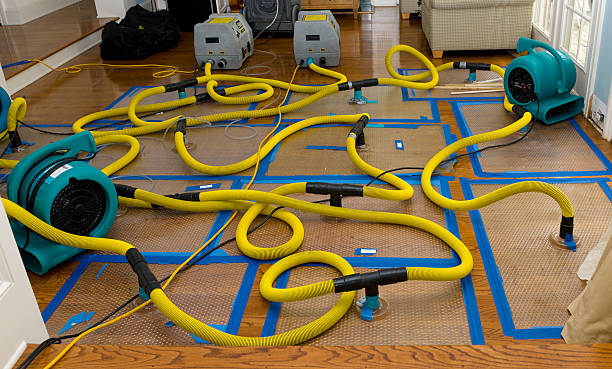 Professional Crawl Space Water Removal technician working in Dennison, MN